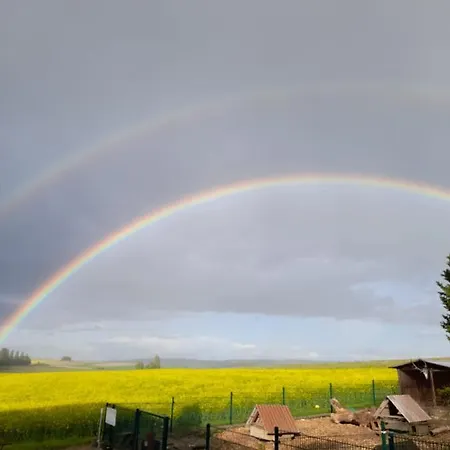 Und Weingut Hirschhof Gasthof