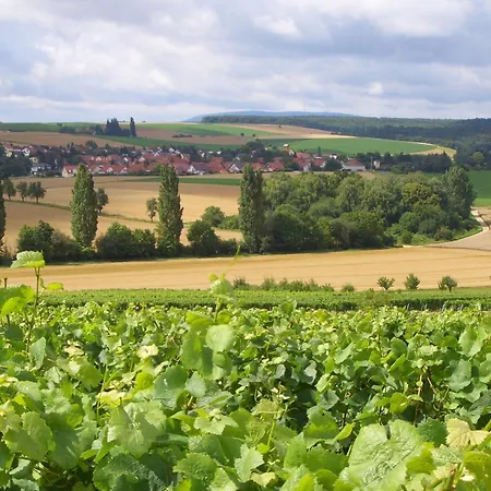 Gasthof Und Weingut Hirschhof