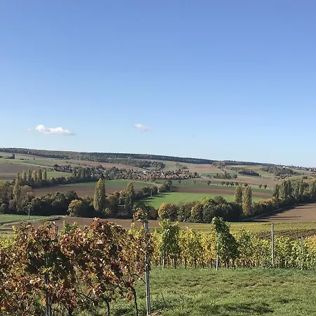 Und Weingut Hirschhof Gasthof