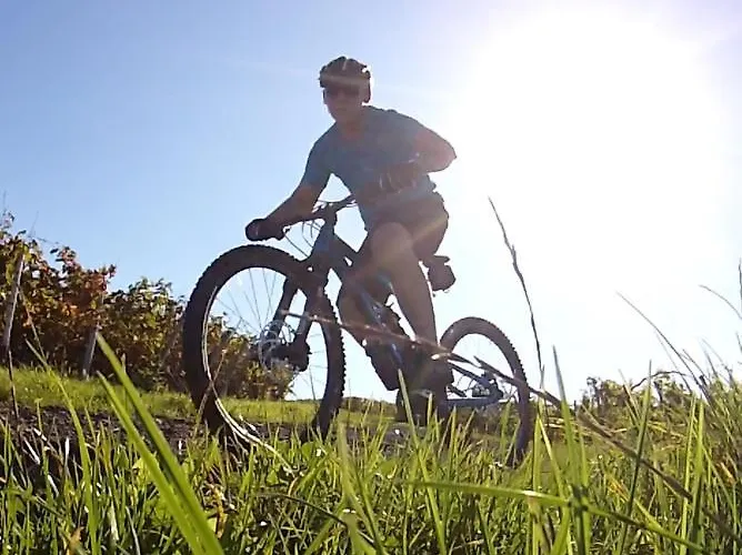 Und Weingut Hirschhof 3*