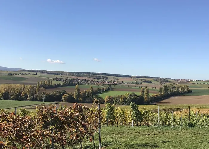 Und Weingut Hirschhof Casa de hóspedes